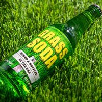 Grass Soda Pop, Weird and Surprising Soda - Image 2