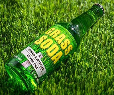 Grass Soda Pop, Weird and Surprising Soda