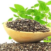 Organic Black Chia Seeds, 2.5 Pounds – Non-GMO, Whole, Sproutable, Vegan, Kosher, Keto, Sirtfood, Bulk. Rich in Essential Fatty Acids, Fiber, Protein. Great For Chia Pudding, Smoothie, Oatmeal - Image 8