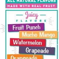 Arizona Fruit Snacks, Gluten Free Mixed Fruit Gummy Chews, 5 Ounce Individual Single Serve Bags (Pack of 12) - Image 4