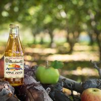 Martinelli's Sparkling Apple Juice, 10 Ounce (Pack of 12) - Image 8