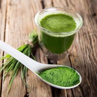 Food to Live Organic Wheatgrass Powder, 1 Pound — Non-GMO, Whole-Leaf, Raw, Non-Irradiated, Pure, Vegan Superfood, Bulk, Great for Juice, Rich in Fiber, Chlorophyll, Fatty Acids and Minerals - Image 7