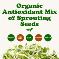 Organic Antioxidant Mix of Sprouting Seeds, 1 Pound — Non-GMO Broccoli, Alfalfa, Clover, Rich Germination Rate, Non-Irradiated, Kosher, Vegan Superfood, Bulk, Rich in Sulforaphane - Image 5
