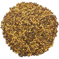 Food to Live Antioxidant Mix of Sprouting Seeds, 8 Ounces – Broccoli, Clover, Alfalfa, Kosher, Raw, Vegan - Image 3