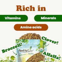 Organic Antioxidant Mix of Sprouting Seeds, 1 Pound — Non-GMO Broccoli, Alfalfa, Clover, Rich Germination Rate, Non-Irradiated, Kosher, Vegan Superfood, Bulk, Rich in Sulforaphane - Image 6