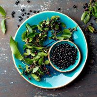 Food to Live Organic Maqui Berry Powder, 8 Pounds – Non-GMO, Raw, 100% Pure, Vegan Superfood, No Added Sugar, Bulk, Rich in Iron, Fiber and Antioxidant, Great for Juices, Drinks, and Smoothies. - Image 8