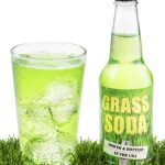Grass Soda Pop, Weird and Surprising Soda