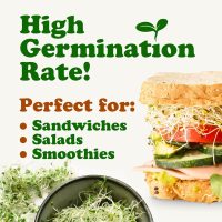 Organic Antioxidant Mix of Sprouting Seeds, 1 Pound — Non-GMO Broccoli, Alfalfa, Clover, Rich Germination Rate, Non-Irradiated, Kosher, Vegan Superfood, Bulk, Rich in Sulforaphane - Image 7