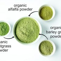 Organic SuperGrass Powder Blend, 1 Pound – Mixed Alfalfa, Barley Grass, and Wheatgrass Powders. Non-GMO, Pure Superfood, Vegan, Kosher, Bulk. Mixes Well. Perfect for Smoothies, and Shakes - Image 7