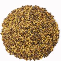 Organic Antioxidant Mix of Sprouting Seeds, 1 Pound — Non-GMO Broccoli, Alfalfa, Clover, Rich Germination Rate, Non-Irradiated, Kosher, Vegan Superfood, Bulk, Rich in Sulforaphane - Image 3